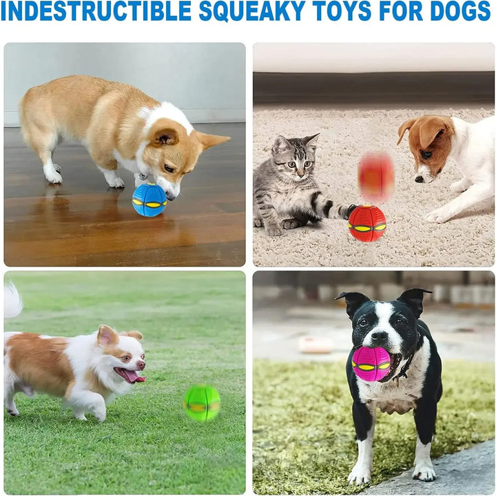 Bola interativa  de brinquedo para Cães