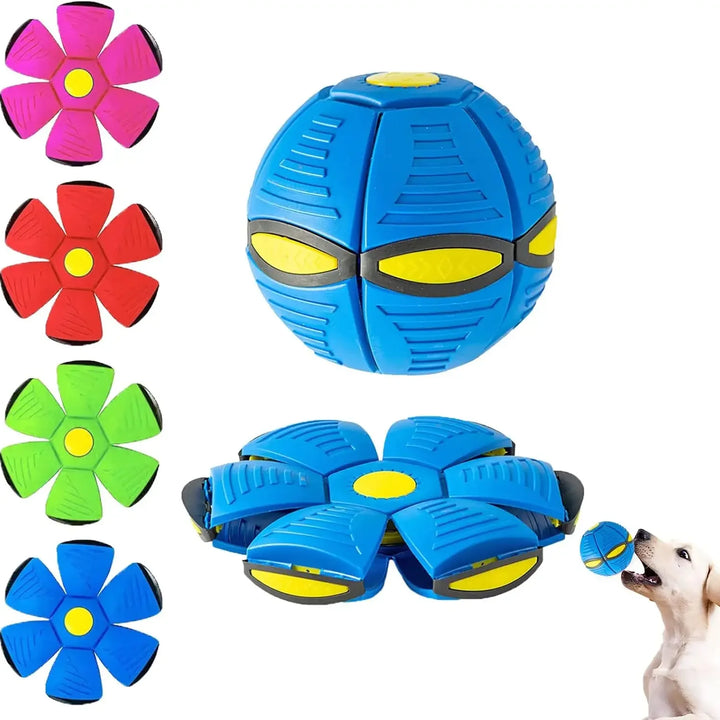 Bola interativa  de brinquedo para Cães